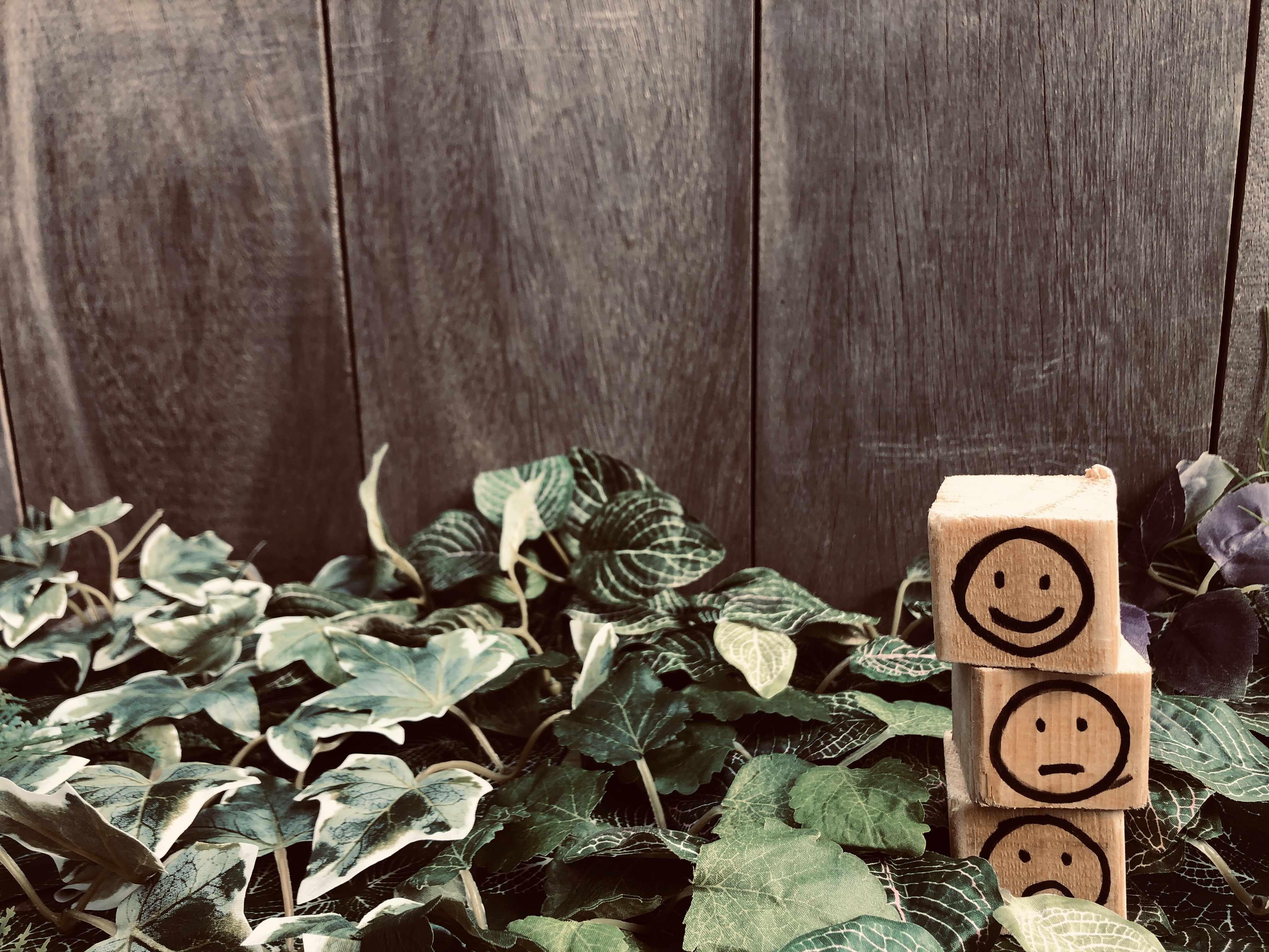 Houten blokjes met verschillende smileys tussen groene bladeren